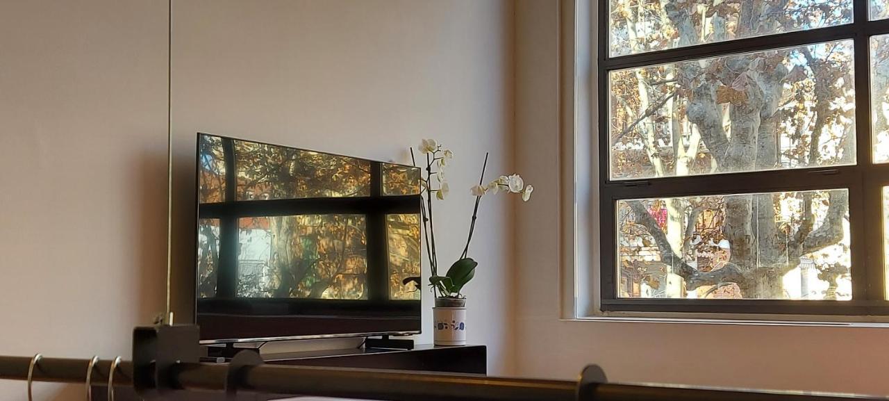 Loft 19 Bed & Breakfast Torino Eksteriør bilde
